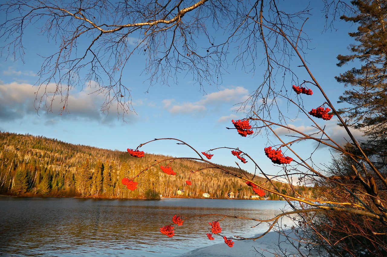 montagne Québec